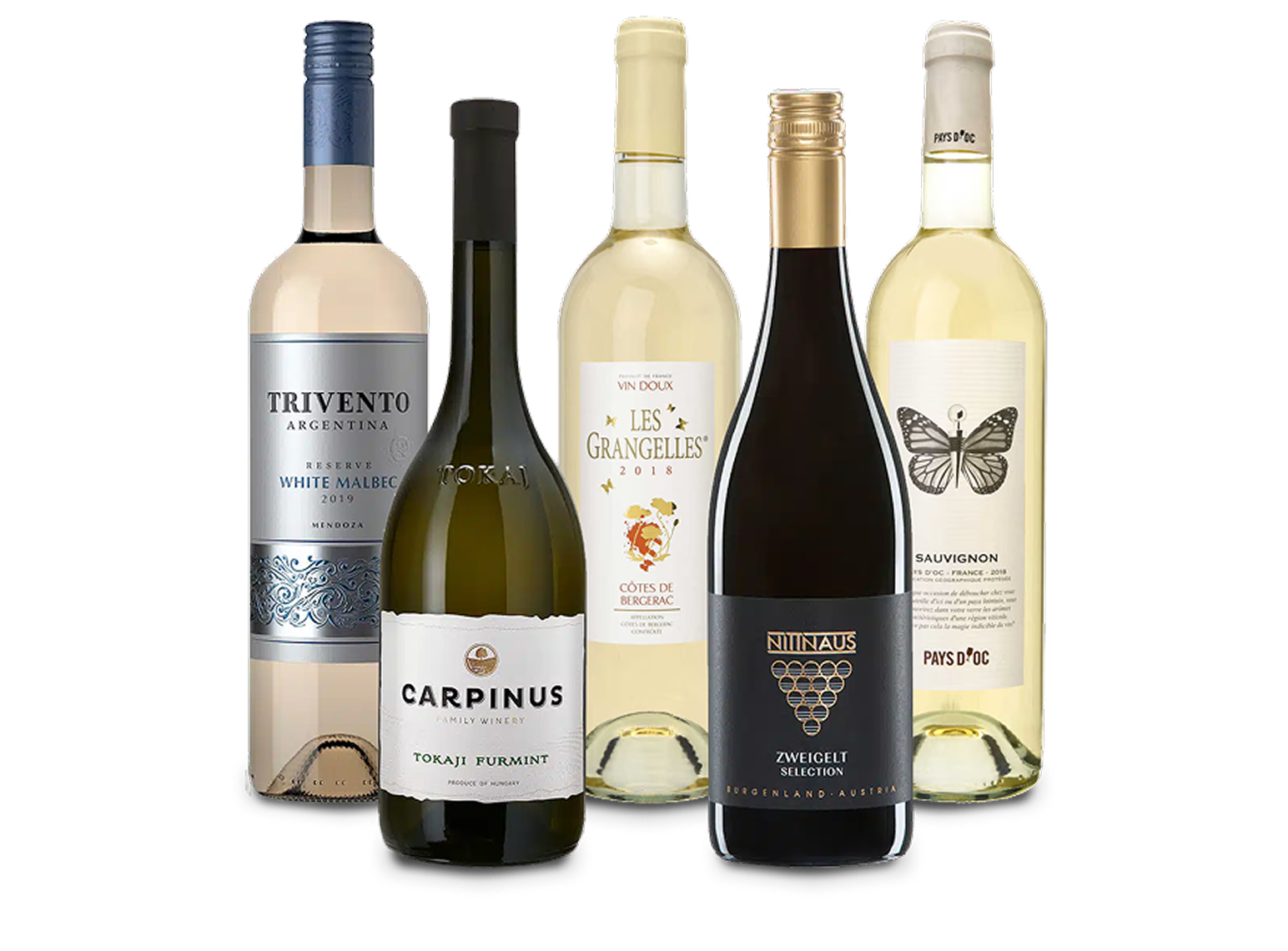Sélection de bouteilles de vin